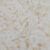 Cangiante335